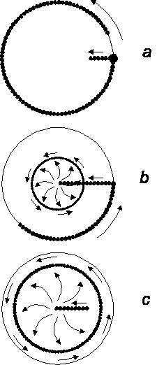 Varipend. Áåçîïîðíîå ïåðåìåùåíèå. Âîññòàíîâëåíèå ñèëîâûõ ýëåìåíòîâ.